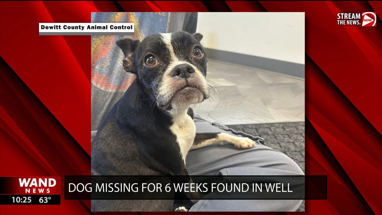 Lost dog found in well reunites with family after 6 weeks